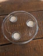 Serax Waxinelichthouder - Nieuw!, Overige materialen, Nieuw, Ophalen of Verzenden, Kandelaar