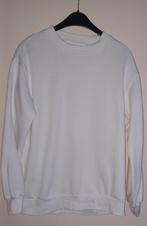Dames Sweater, Kleding | Dames, Ophalen of Verzenden, Zo goed als nieuw, Maat 42/44 (L), Wit