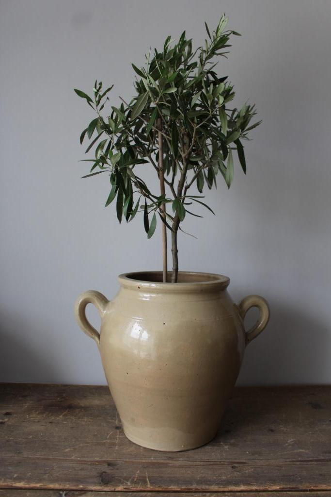 Oude Franse brocante grespot XXL *Pronck & Praal*, Antiek en Kunst, Curiosa en Brocante, Ophalen