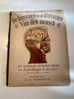 De hersenen en de zintuigen van den Mensch popup boek 1900, Ophalen of Verzenden