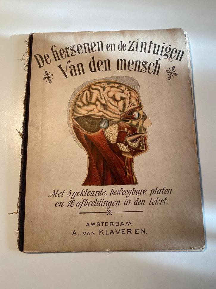 De hersenen en de zintuigen van den Mensch popup boek 1900, Antiek en Kunst, Antiek | Boeken en Bijbels, Ophalen of Verzenden