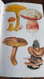 Jüngling,Heinz & S.Seybold. - Lexikon der Pflanzen{1977}, Bloemen, Planten en Bomen, Verzenden, Zo goed als nieuw, Júngling H von&Seybold S