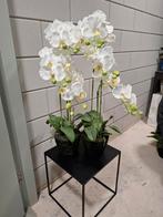 Mooie levensechte kunstorchideeen, Huis en Inrichting, Ophalen of Verzenden, Zo goed als nieuw