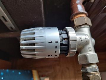 Thermostaatkraan vaillant  beschikbaar voor biedingen