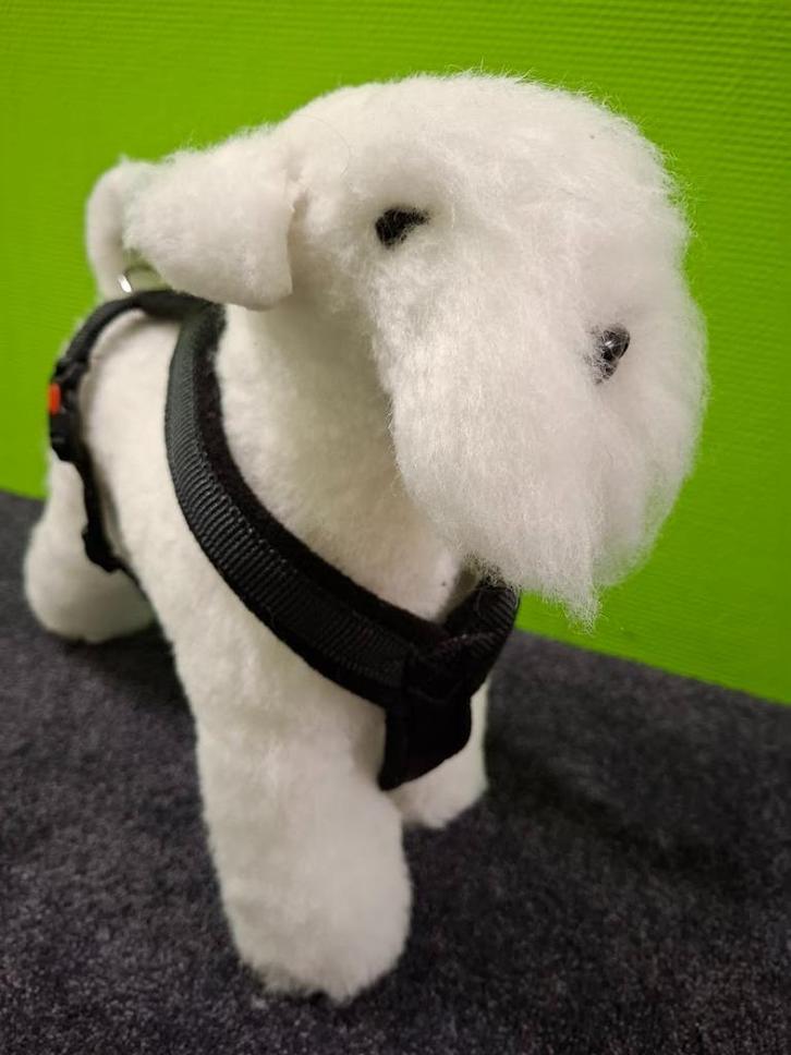 Nieuwe tuigjes maten S M XL, Dieren en Toebehoren, Hondenhalsbanden en Penningen, Nieuw, Ophalen of Verzenden