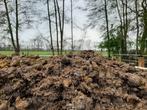 Gratis paardenmest voor moestuin of mest briketten, Compost, Ophalen