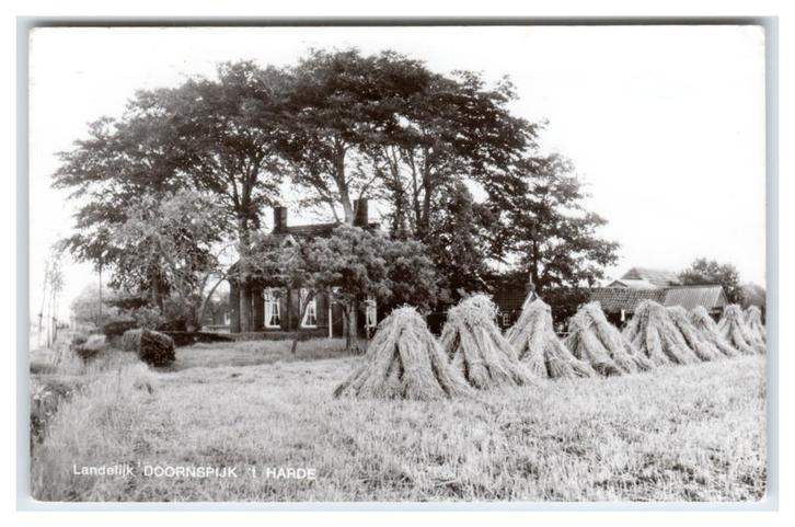 Doornspijk, Landelijk Doornspijk 't Harde, Verzamelen, Ansichtkaarten | Nederland, Gelopen, Gelderland, 1960 tot 1980, Verzenden
