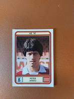 panini voetbal 80 peter arntz az'67, Verzamelen, Sportartikelen en Voetbal, Ophalen of Verzenden, Zo goed als nieuw, AZ, Poster, Plaatje of Sticker