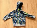 Stoer vest maat 80, Kinderen en Baby's, Babykleding | Maat 80, Truitje of Vestje, Ophalen of Verzenden, Zo goed als nieuw, Just small