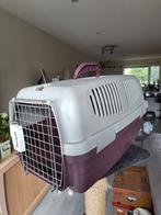 kattenreismand Progold, Ophalen of Verzenden, Gebruikt