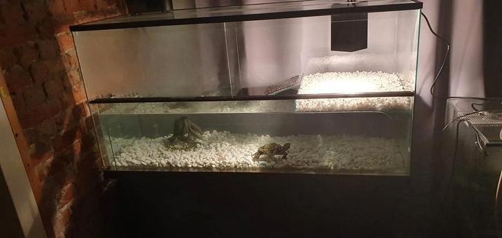 Waterschildpad verblijf 80 liter, Dieren en Toebehoren, Reptielen en Amfibieën | Toebehoren, Gebruikt, Terrarium of Paludarium