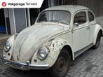 volkswagen kever 1.2 Limousine export, Gebruikt, Beetle (Kever), 4 cilinders, Wit