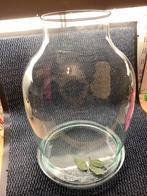 Glazen stolp, Huis en Inrichting, Woonaccessoires | Stolpen, Ophalen, Zo goed als nieuw