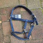 Eskadron halster maat Full, Dieren en Toebehoren, Ophalen of Verzenden, Nieuw