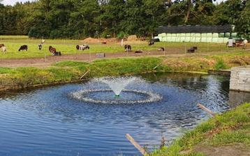 fontein/ vijverbeluchter, mooi om te zien , gezonder water beschikbaar voor biedingen