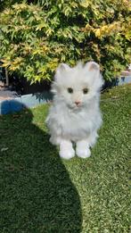 Furreal friends poes lulu, Kinderen en Baby's, Speelgoed | Knuffels en Pluche, Ophalen, Zo goed als nieuw, Poes