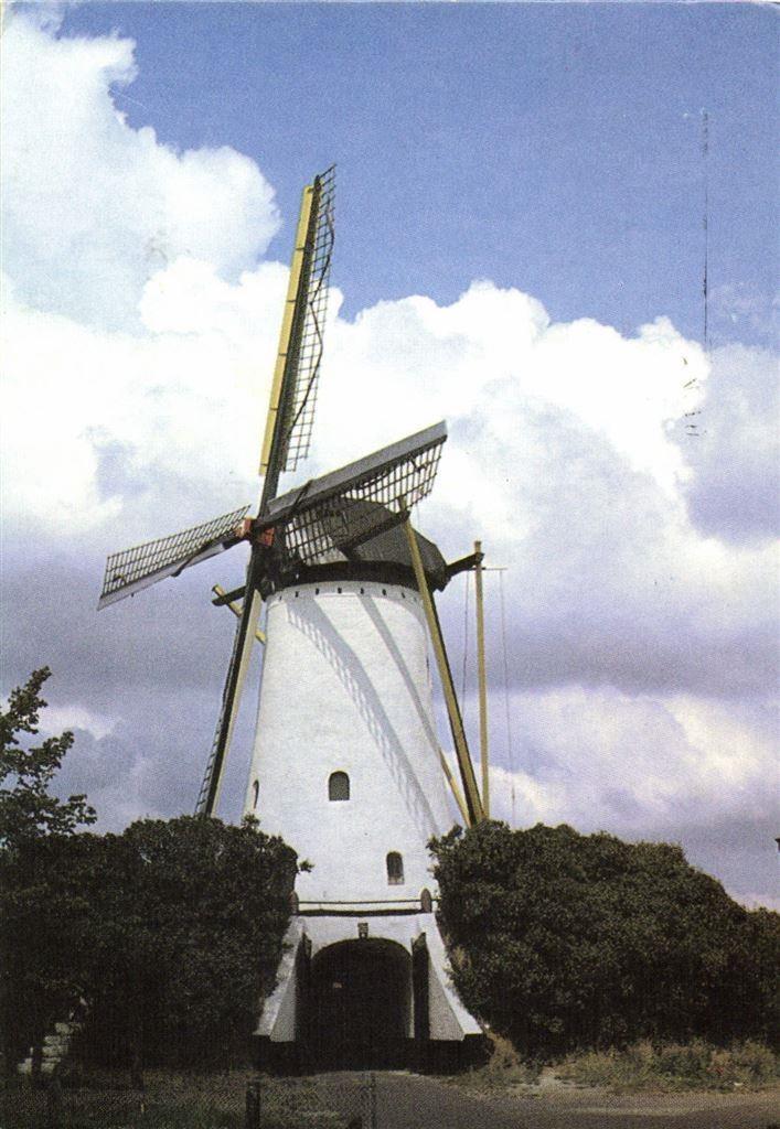 Ronde stenen Beltmolen Sancto Antonio, Gem. Halsteren - 1986, Verzamelen, Ansichtkaarten | Nederland, Ongelopen, Noord-Brabant