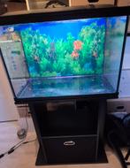 Superfish start 100 aquarium incl. Meubel, Dieren en Toebehoren, Vissen | Aquaria en Toebehoren, Ophalen, Gebruikt, Leeg aquarium