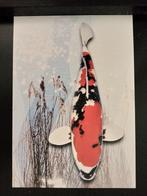 Koikarper, Verzamelen, Ansichtkaarten | Dieren, Verzenden, 1980 tot heden, Ongelopen, Waterdier