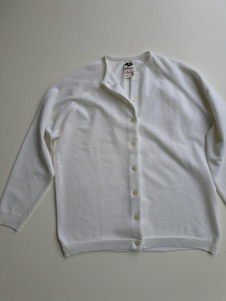 retro vintage wit vestje, 38, Setterlaine, Kleding | Dames, Truien en Vesten, Zo goed als nieuw, Maat 38/40 (M), Wit, Ophalen of Verzenden