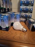 Softone gloeilamp 40 watt, 30 tot 60 watt, Nieuw, Warm wit - softone, Soft of Flame