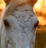 Paarden sieraad silver, Dieren en Toebehoren, Ophalen of Verzenden, Zo goed als nieuw, Overige soorten
