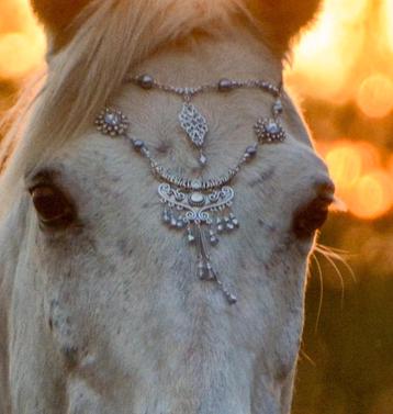 Paarden sieraad silver beschikbaar voor biedingen