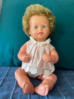 Vintage Schildkröt Pop, Ophalen of Verzenden, Zo goed als nieuw