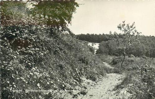 (388-453-035) Burgh-Haamstede Duinpad, Verzamelen, Ansichtkaarten | Nederland, Zeeland, Verzenden