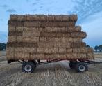 Te koop kleine pakjes tarwe stro, Dieren en Toebehoren, Dierenvoeding, Ophalen of Verzenden