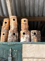 Laatste natuurbroedblokken, Dieren en Toebehoren, Meerdere dieren, Tropenvogel