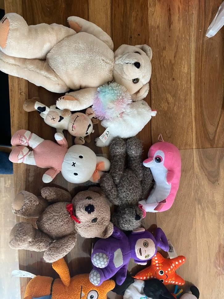 Gratis Grote verzameling knuffels, Kinderen en Baby's, Speelgoed | Knuffels en Pluche, Gebruikt, Overige typen, Ophalen of Verzenden
