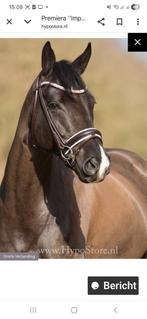 Zgan hoofstel bruin  cob, Ophalen of Verzenden