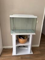 Superfish aquarium 100 liter, Dieren en Toebehoren, Vissen | Aquaria en Toebehoren, Ophalen, Zo goed als nieuw, Leeg aquarium
