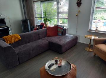 Grijze loungebank velvet beschikbaar voor biedingen