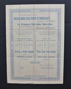 Insulinde Cultuur Syndicaat (Rubber/Ned.Indie) - 1910, Verzenden, Voor 1920, Aandeel