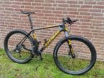 Storm Moana / Buran Standfiets Beachracer Carbon XL, 28 inch, Gebruikt, Carbon, 10 tot 15 versnellingen