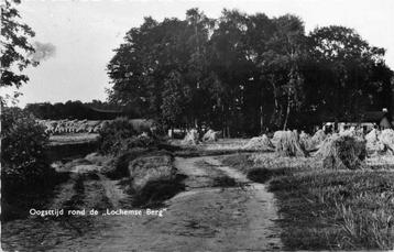 (377-458-027) Lochem Oogsttijd Lochemse Berg beschikbaar voor biedingen