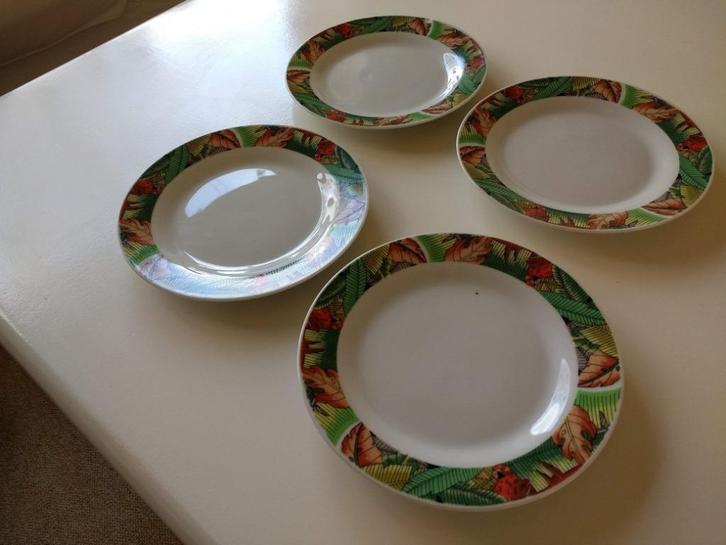 4 kleine borden 18 cm en 4 grote borden papegaai en jungle, Huis en Inrichting, Keuken | Servies, Zo goed als nieuw, Bord(en)