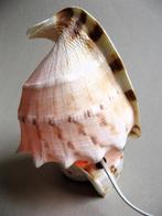 Mooie grote schelpenlamp, in perfecte staat, Ophalen of Verzenden