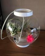 Biorb aquarium 15 liter met led verlichting, Ophalen of Verzenden, Zo goed als nieuw, Leeg aquarium