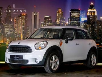 MINI Countryman (bj 2011) beschikbaar voor biedingen