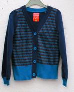 vest van princes zoe  maat 110-116, Meisje, Trui of Vest, Ophalen of Verzenden, Zo goed als nieuw