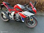TRMOTOR Gp1, Bedrijf, Sport, TRMOTOR