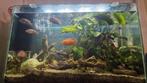 Superfish Home 110 COMPLEET, Ophalen, Zo goed als nieuw, Gevuld zoetwateraquarium
