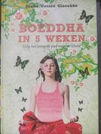 Boeddha in 5 Weken - Giulio Cesare Giacobbe, Achtergrond en Informatie, Spiritualiteit algemeen, Zo goed als nieuw, Giulio Cesare Giacobbe