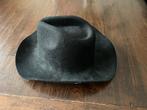Zwarte hoed, Ophalen of Verzenden, Zo goed als nieuw, 57 cm (M, 7⅛ inch) of minder, Hoed