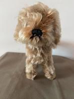 Steiff ruwharige teckel Raudi, 1317,07, Ophalen of Verzenden