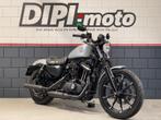 HARLEY-DAVIDSON SPORTSTER IRON XL 883 N (bj 2020), Motoren, Motoren | Harley-Davidson, 2 cilinders, Bedrijf, 883 cc, Meer dan 35 kW