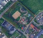 Te huur: Paddock Paradise | Venlo. | 5500m2, Dieren en Toebehoren, Stalling en Weidegang, Weidegang, 4 paarden of pony's of meer